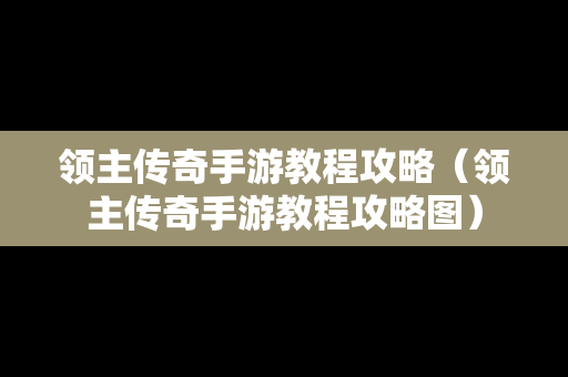 领主传奇手游教程攻略（领主传奇手游教程攻略图）