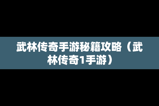 武林传奇手游秘籍攻略（武林传奇1手游）
