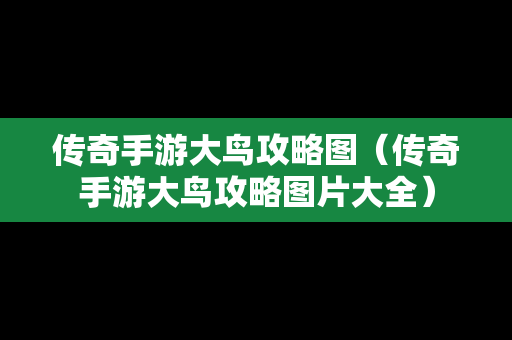 传奇手游大鸟攻略图（传奇手游大鸟攻略图片大全）