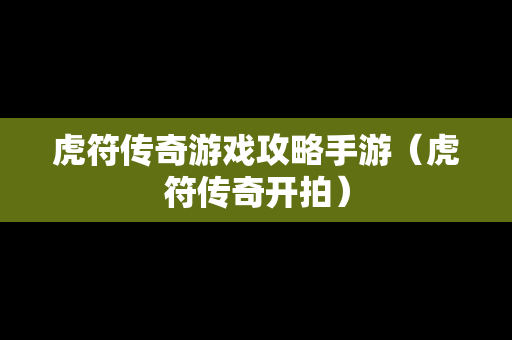 虎符传奇游戏攻略手游（虎符传奇开拍）