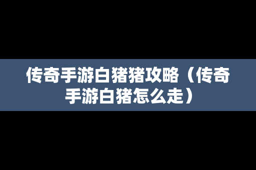 传奇手游白猪猪攻略（传奇手游白猪怎么走）