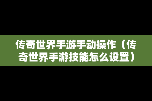 传奇世界手游手动操作（传奇世界手游技能怎么设置）