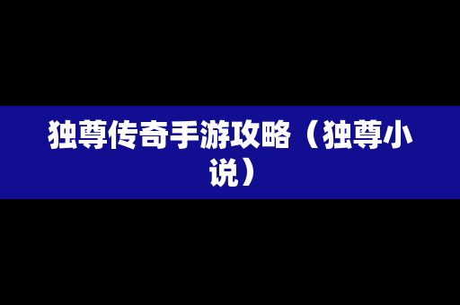 独尊传奇手游攻略（独尊小说）