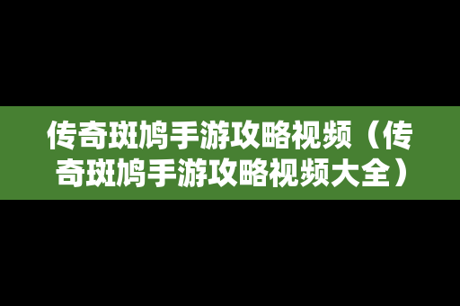 传奇斑鸠手游攻略视频（传奇斑鸠手游攻略视频大全）