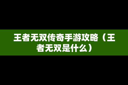 王者无双传奇手游攻略（王者无双是什么）