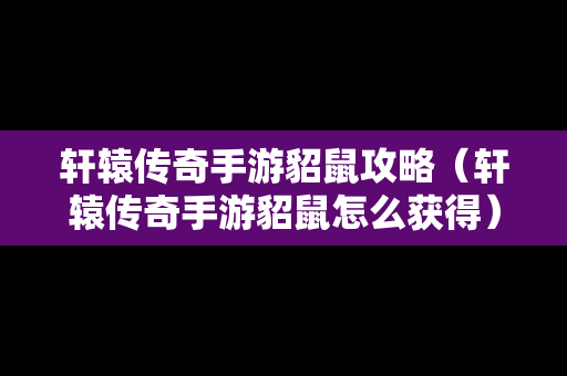 轩辕传奇手游貂鼠攻略（轩辕传奇手游貂鼠怎么获得）