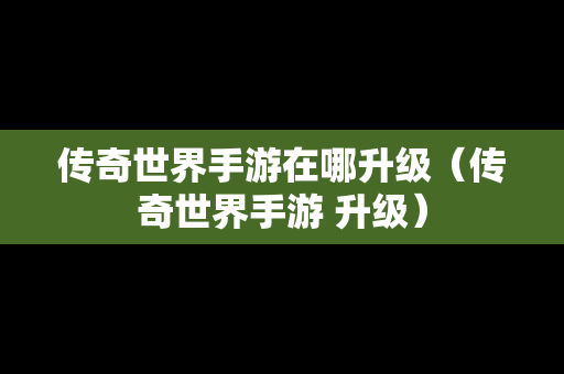 传奇世界手游在哪升级（传奇世界手游 升级）
