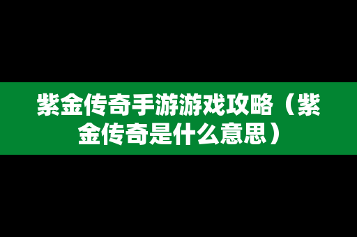 紫金传奇手游游戏攻略（紫金传奇是什么意思）